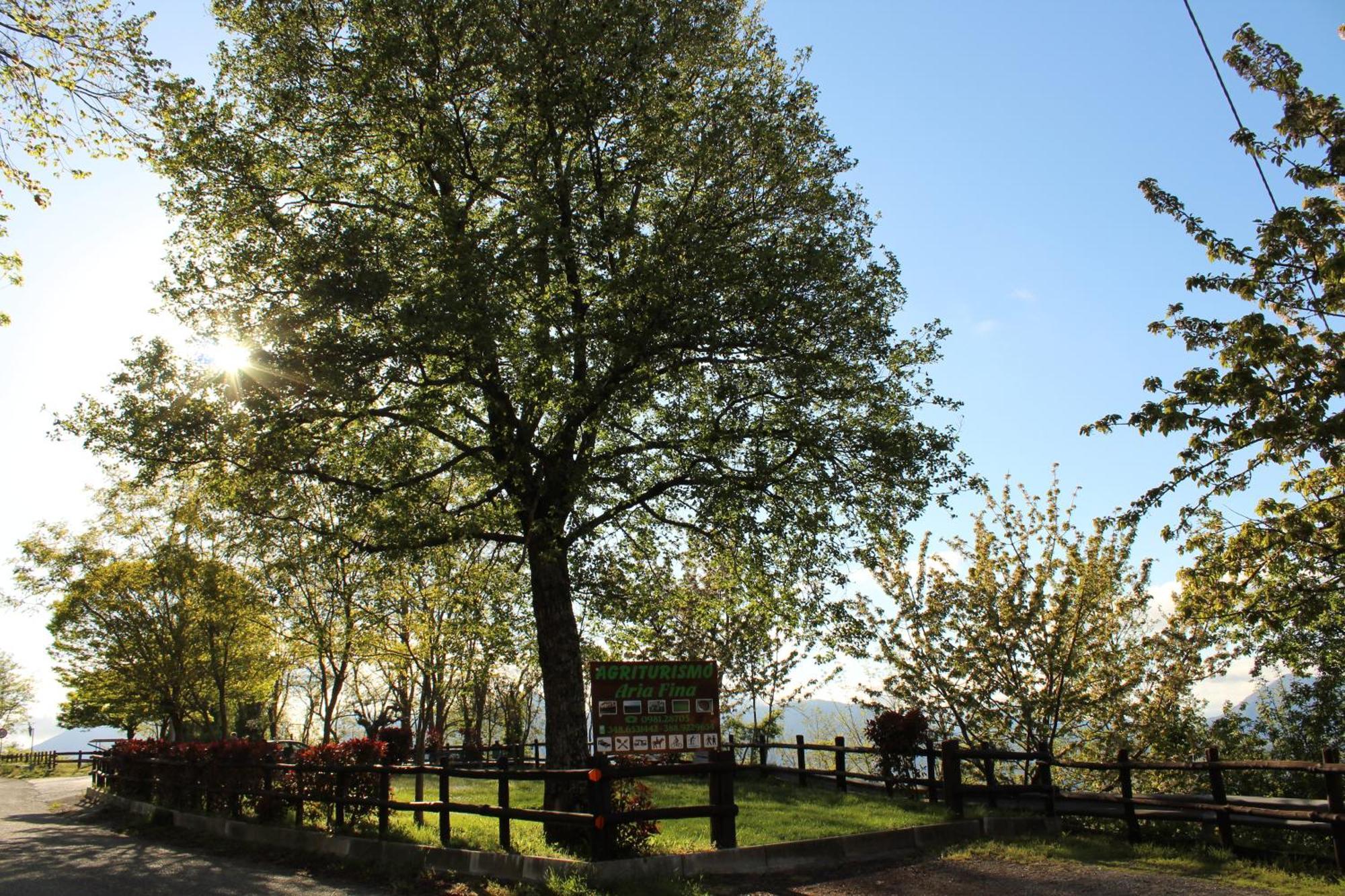 Вилла Agriturismo Aria Fina Морманно Экстерьер фото